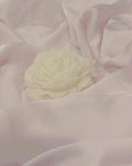 Rose Petal Scented White Peony Soy Wax Blend Candle