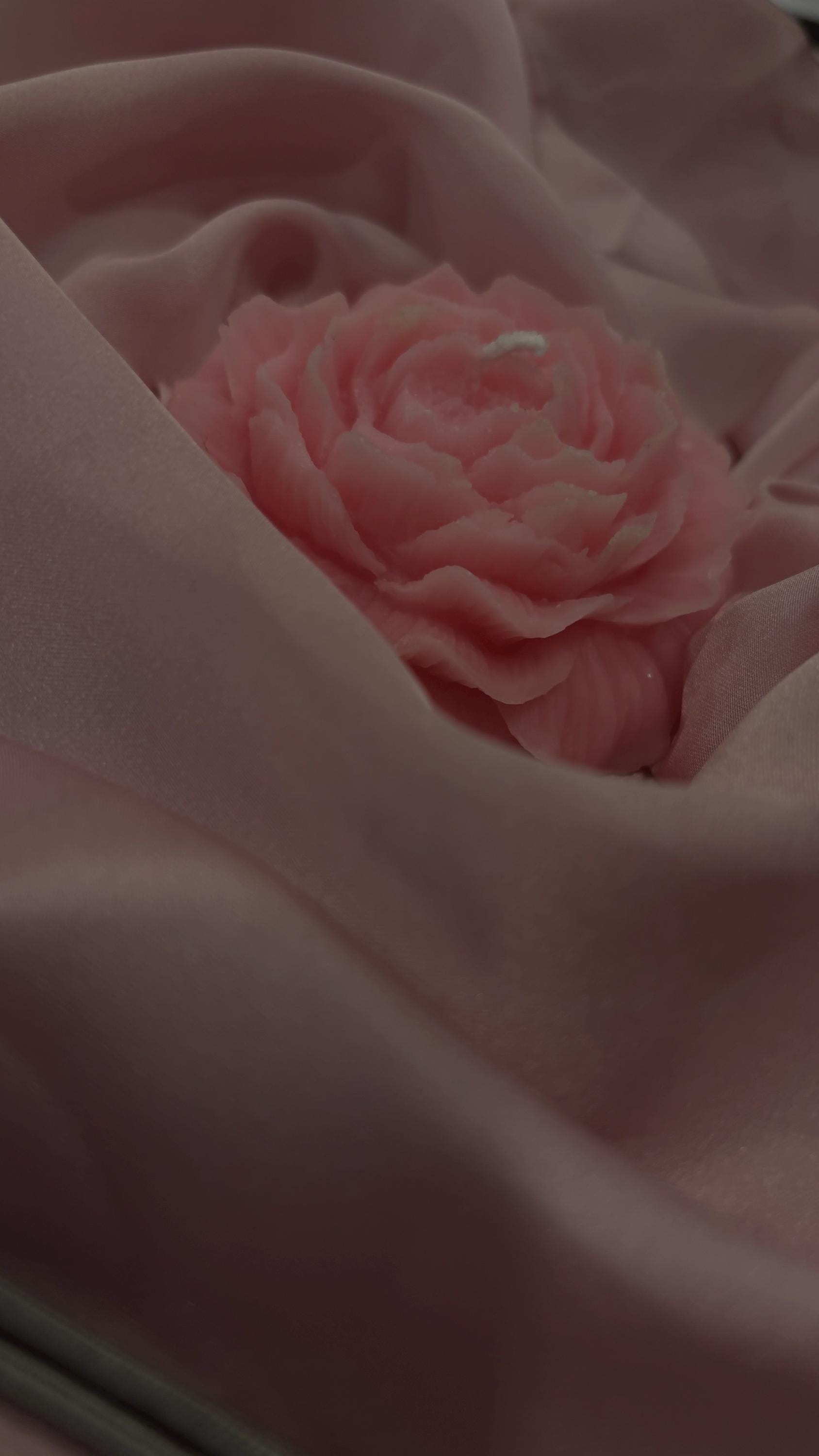 Rose Petal Scented Pink Peony Soy Wax Blend Candle