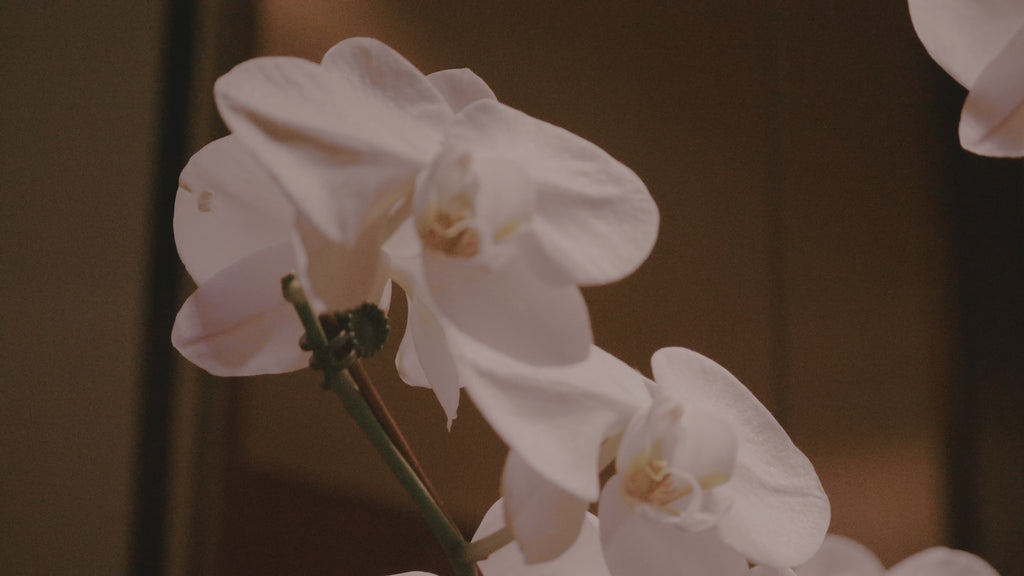 Vanilla Orchid Scented Peony Shaped Soy Wax Blend Candle